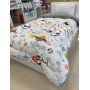 ETE HOMETEX TEK KİŞİLİK LÜX WELSOFT YORGAN ASTRONOT GRİ 155X215CM 8696474231857